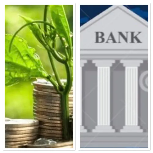 RADIO ORIENT ECONOMIE 